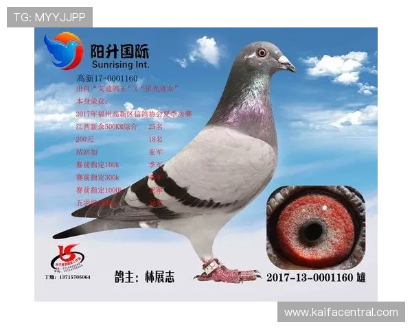 AG国际线上登陆平台安全可靠，开启您的尊享线上娱乐体验